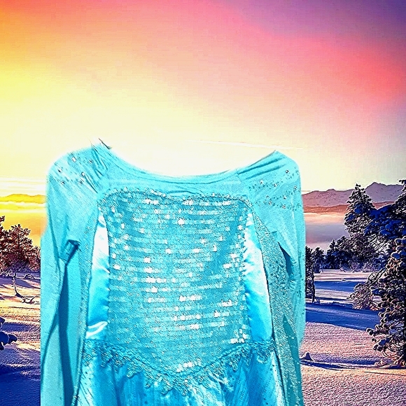 Disney Elsa Frozen Dress size 9-10 - Picture 11 of 16